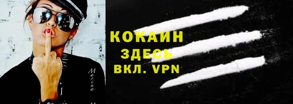 твердый Арсеньев