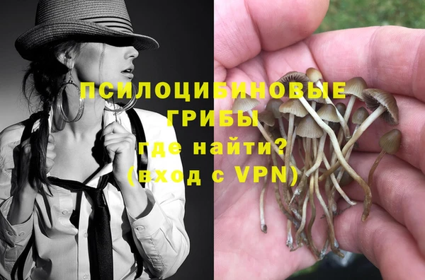 твердый Арсеньев