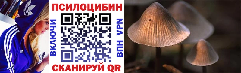 Псилоцибиновые грибы Psilocybe магазин продажи блэк спрут зеркало Мариинск